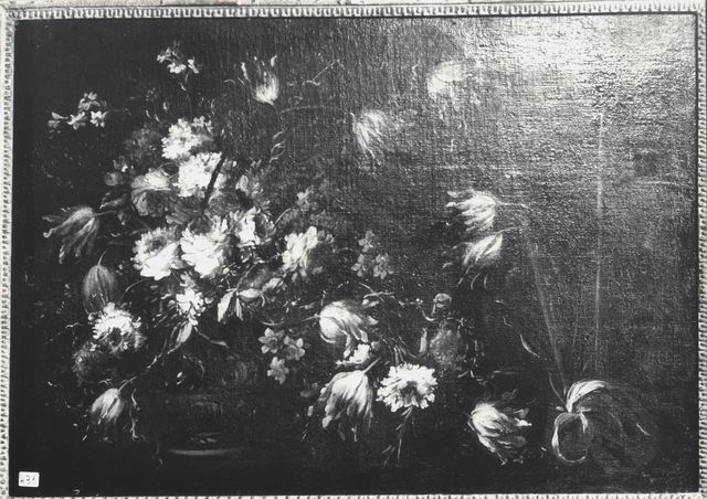 Zardini — Caffi Margherita - sec. XVII/ XVIII - Natura morta con vaso di fiori — insieme